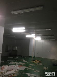 金山石化區(qū)食品廠專業(yè)凈化工程 彩鋼巖棉板隔斷、車間隔墻與工裝裝修一體化解決方案